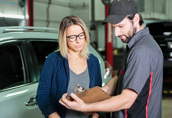 Driver and Vehicle Standards Agency logo featuring a crest representing vehicle standards with the emphasis on safety regulations and guidelines relevant to the number 13 in driving tests and qualifications.